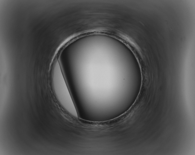 X0000085841316200703231434