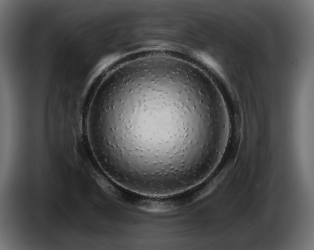 X0000085841318200703231434