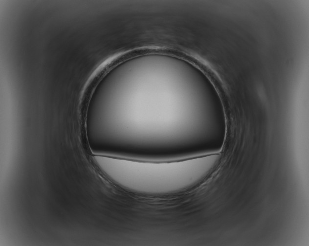 X0000085841319200703231434