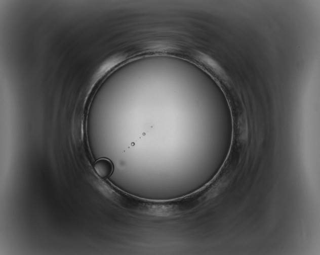X0000085841322200703231434