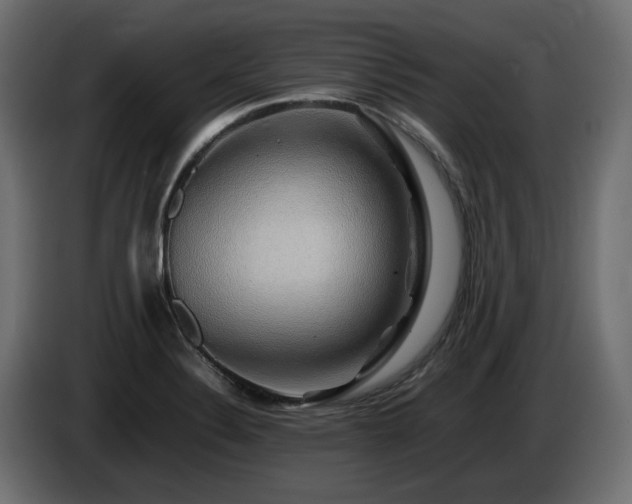 X0000085841324200703231434