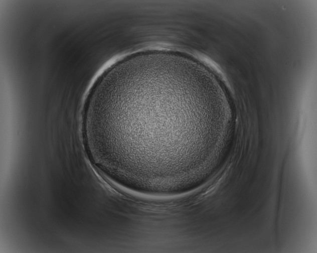 X0000085841326200703231434