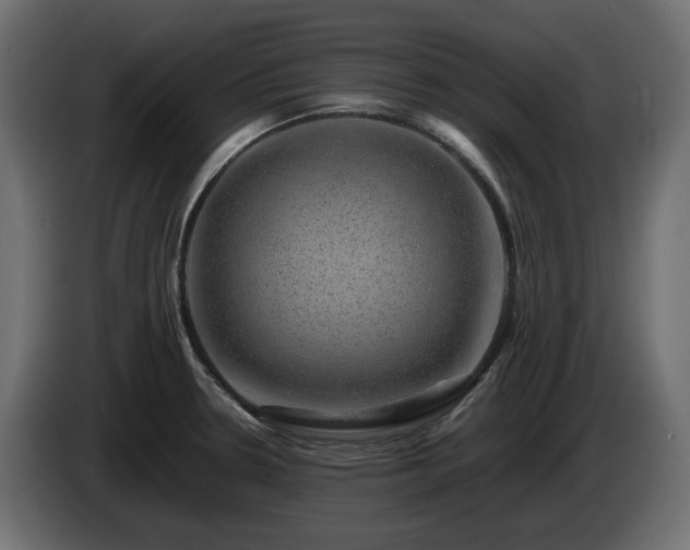 X0000085841330200703231434