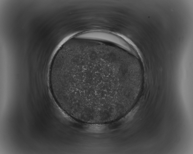 X0000085841333200703231434