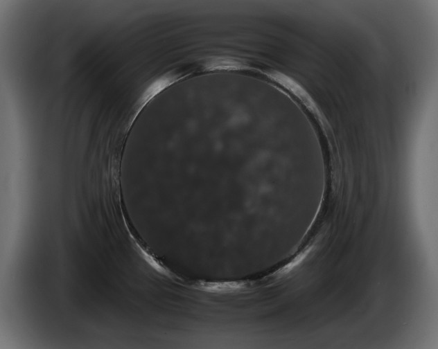 X0000085841337200703231434
