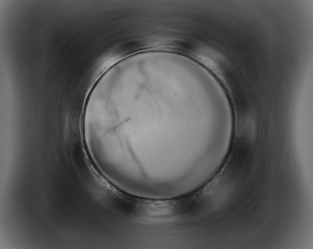 X0000085841338200703231434