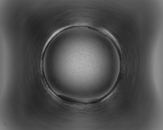X0000085841340200703231434