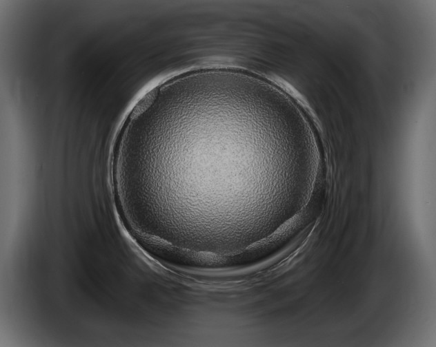 X0000085841342200703231434