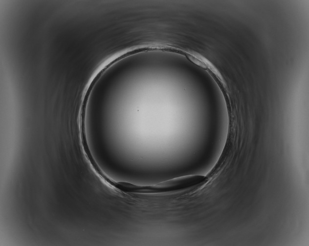 X0000085841343200703231434