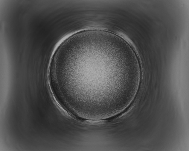 X0000085841344200703231434