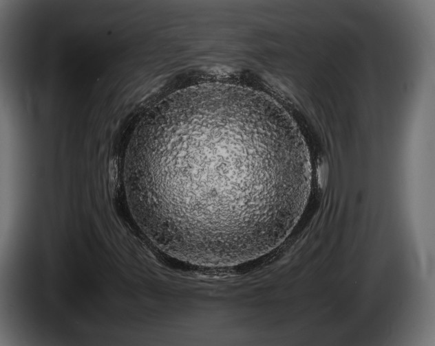 X0000085841347200703231433