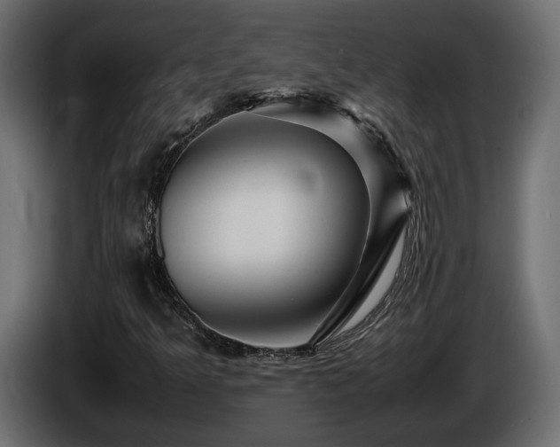 X0000085841349200703231433