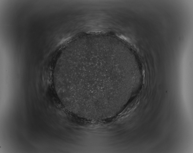 X0000085841350200703231433
