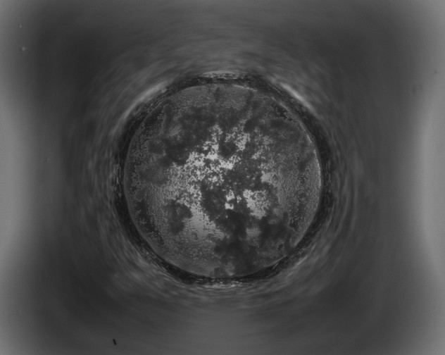X0000085841351200703231433