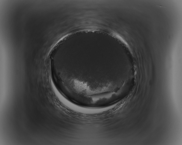X0000085841352200703231433