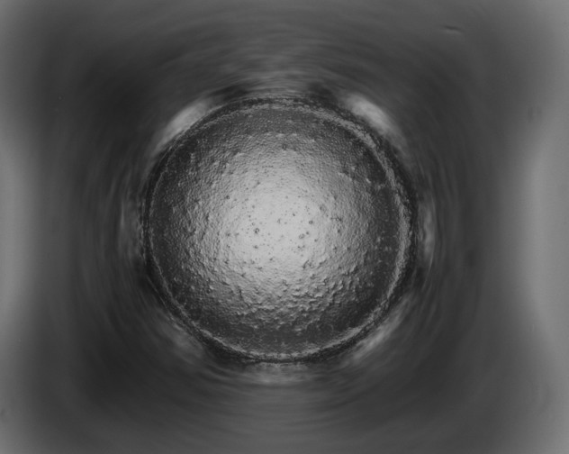 X0000085841354200703231433
