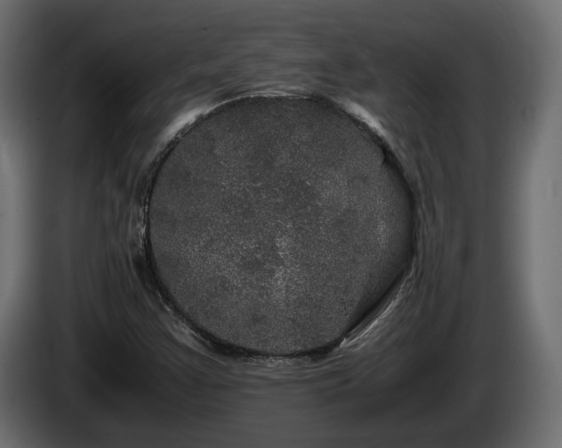 X0000085841355200703231433