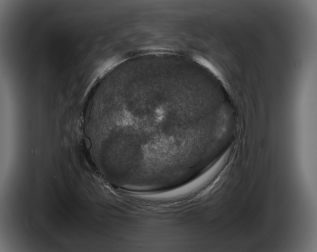 X0000085841357200703231433
