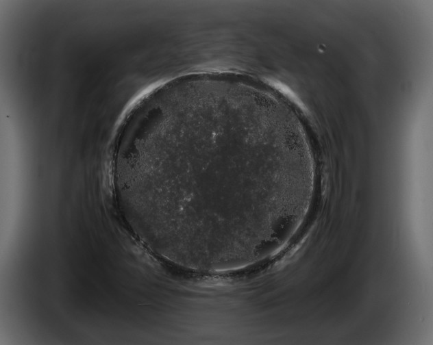 X0000085841358200703231433
