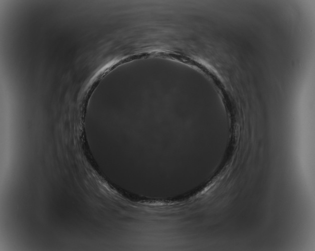 X0000085841359200703231433