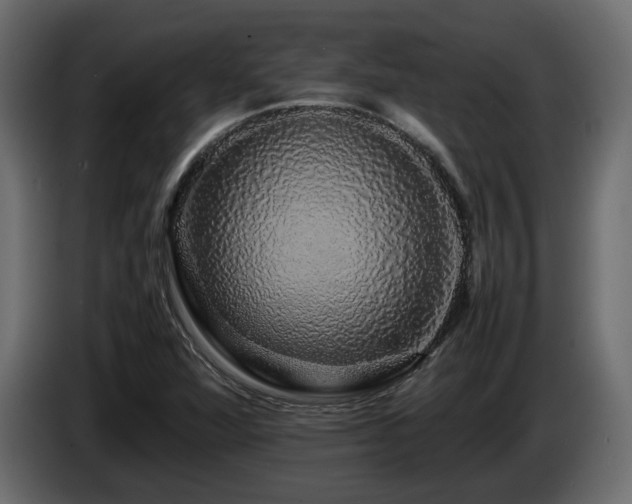 X0000085841360200703231433