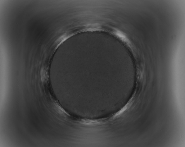 X0000085841361200703231433