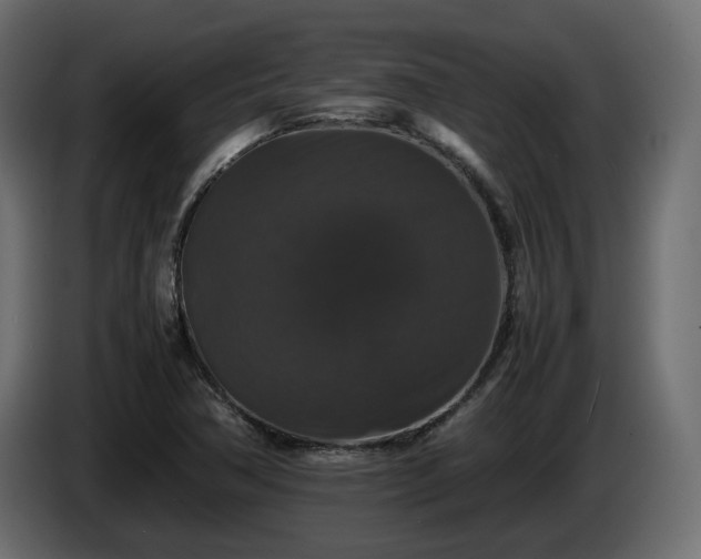 X0000085841362200703231433