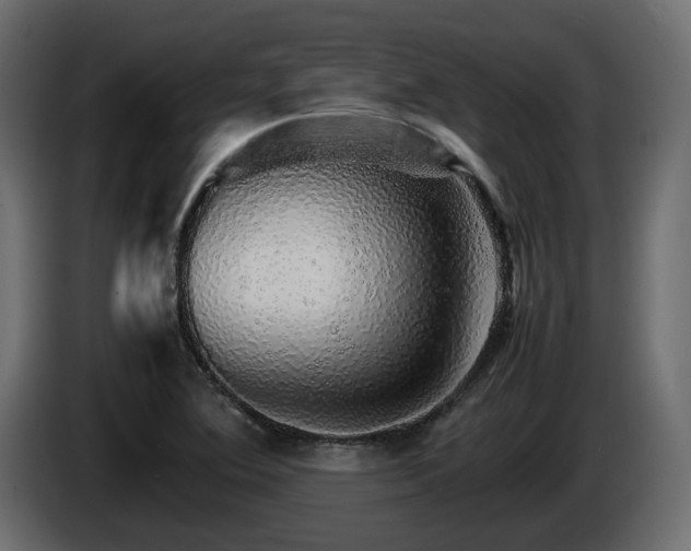 X0000085841364200703231433