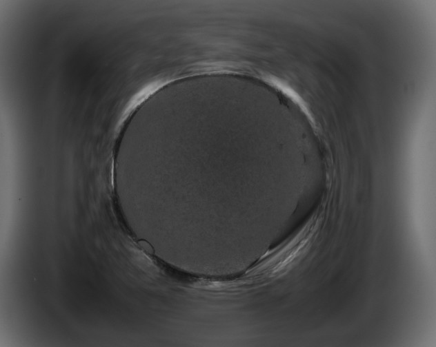 X0000085841365200703231433
