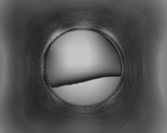 X0000085841366200703231433