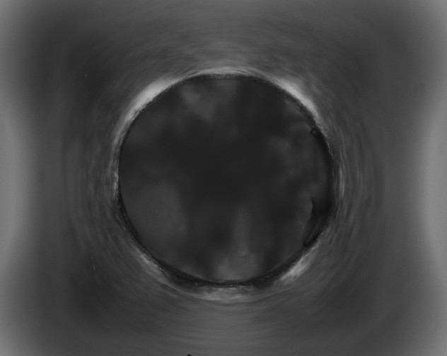 X0000085841367200703231433