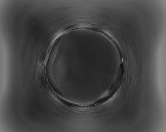 X0000085841369200703231433