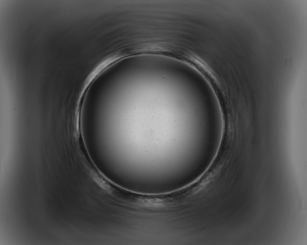X0000085841370200703231433