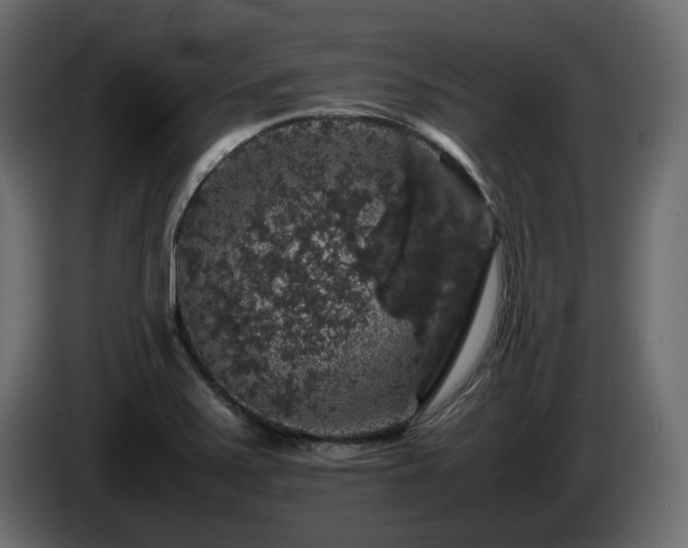 X0000085841371200703231433