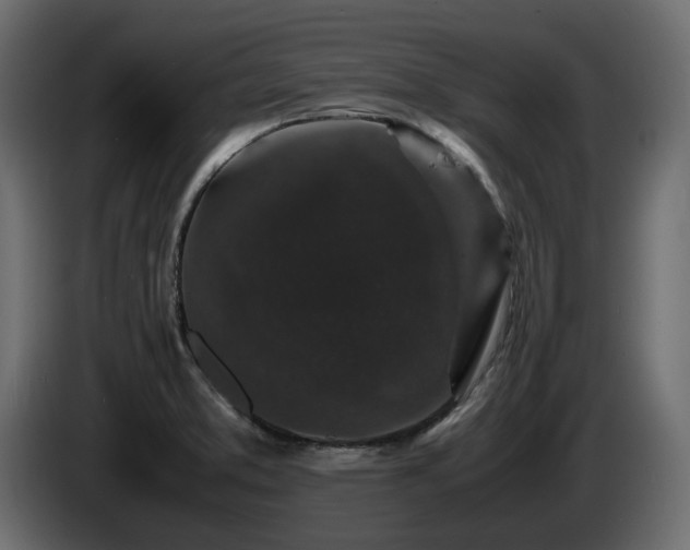 X0000085841373200703231433