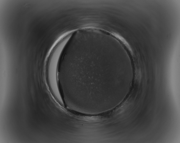 X0000085841376200703231433