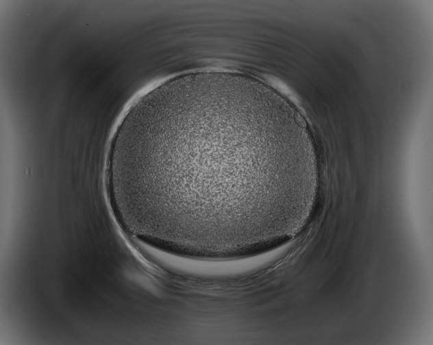 X0000085841379200703231433