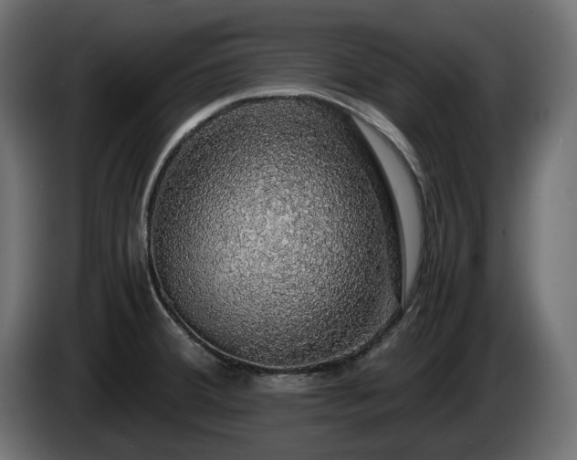 X0000085841380200703231433