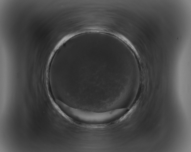 X0000085841381200703231433