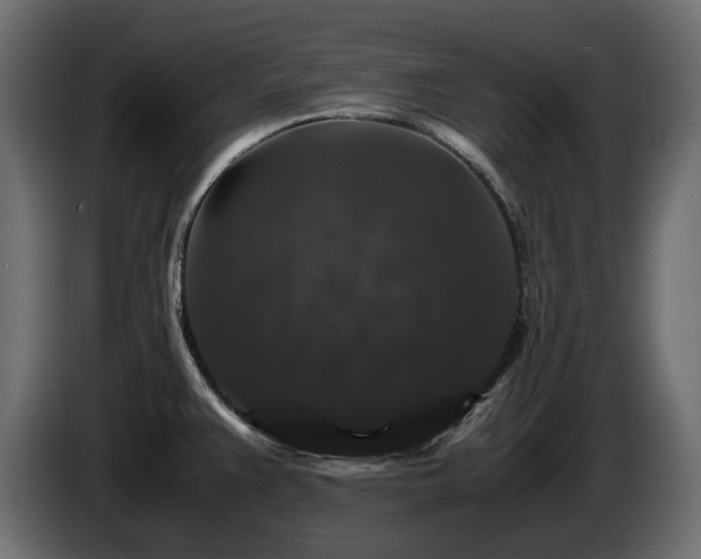 X0000085841383200703231433