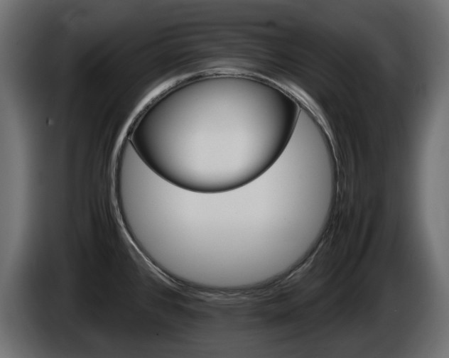 X0000085841384200703231433