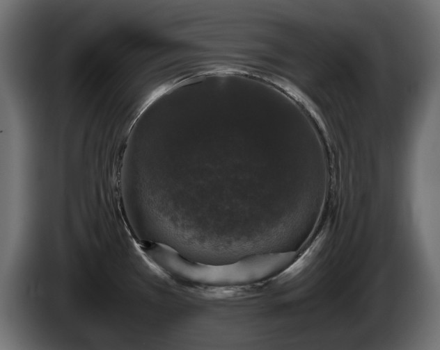 X0000085841385200703231433