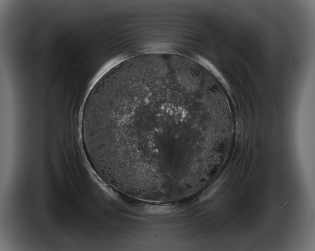X0000085841386200703231433