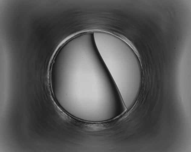 X0000085841388200703231433