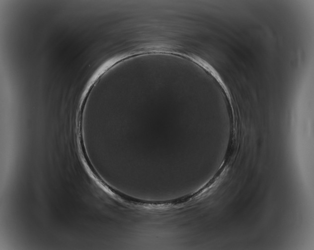 X0000085841389200703231433