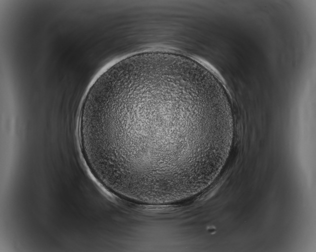X0000085841391200703231433