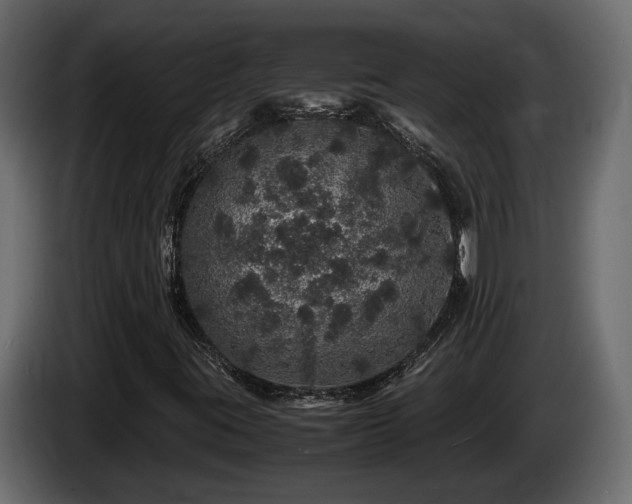 X0000085841395200703231432