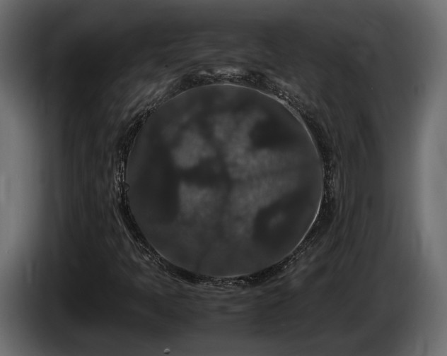 X0000085841397200703231432