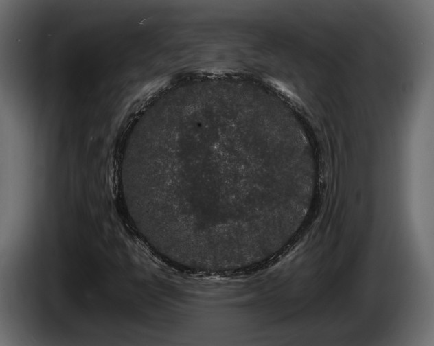 X0000085841398200703231432