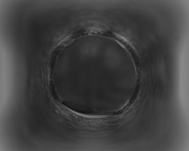 X0000085841399200703231432